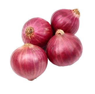 Fresh Organic Onion